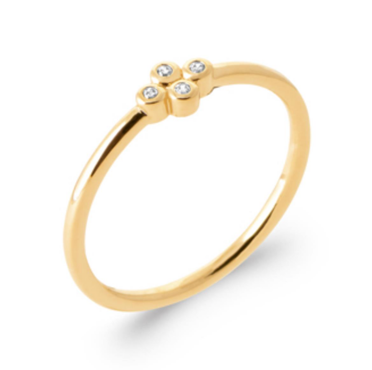Bague Racines - celle qui sait d'où elle vient